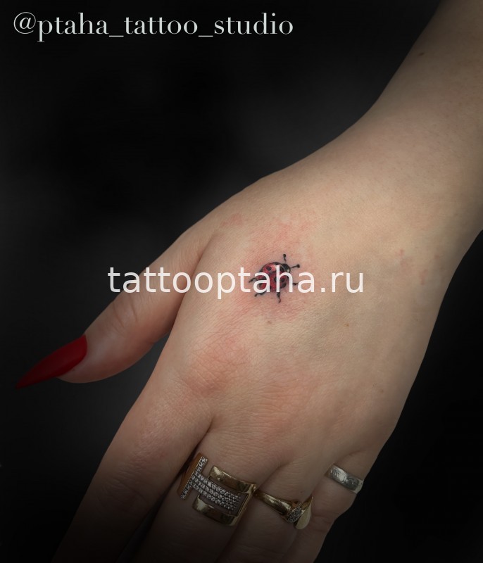 VivoTattooStudio | Сеть студий мини-тату